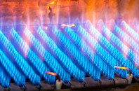 Rodbaston gas fired boilers